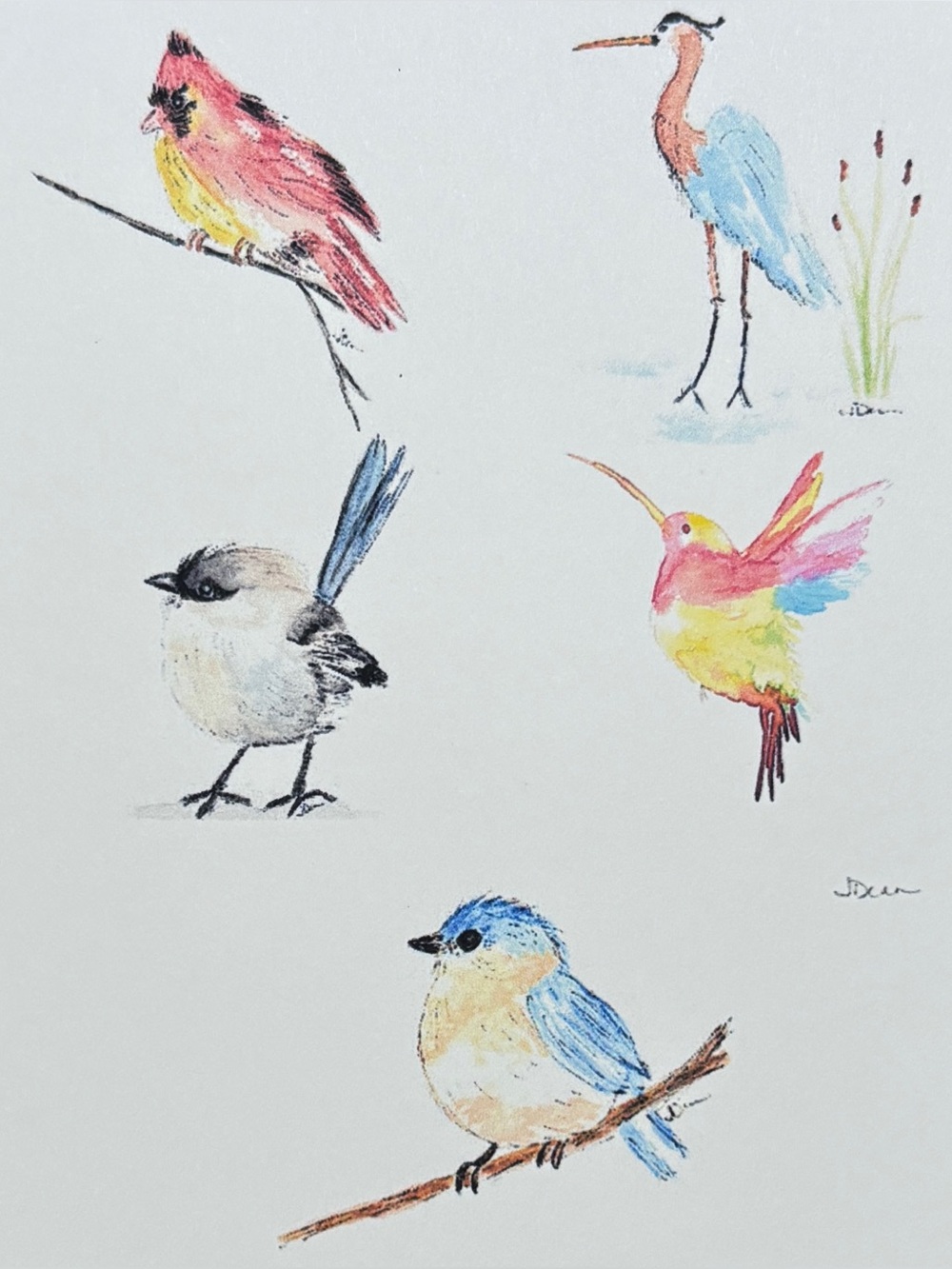 Set of 5 Watercolor Blank Cards Birds